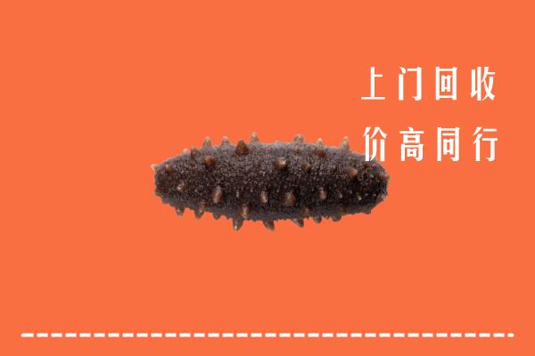 沂水县回收海参